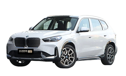 BWM iX1