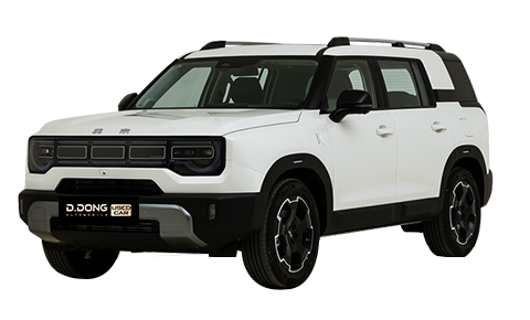 Beijing bj30